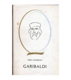 Mircea Padureleanu - Garibaldi - 103949