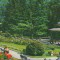 CPI B14595 - CARTE POSTALA - SLANIC MOLDOVA, VEDERE DIN PARC