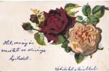 Felicitare cu doi trandafiri (circulata 1901)