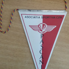 M3 C7 - Tematica cluburi sportive - Asociatia sportiva CFR Pascani