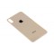 Capac Baterie Apple iPhone X Gold, cu gaura pentru camera mare