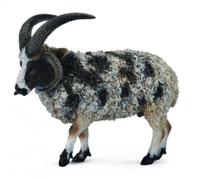 Figurina Jacob Sheep L Collecta foto