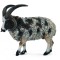 Figurina Jacob Sheep L Collecta