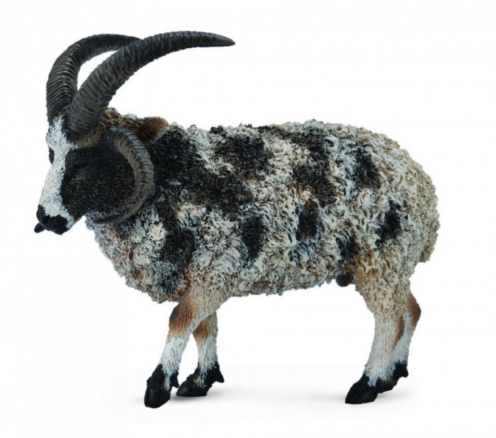 Figurina Jacob Sheep L Collecta