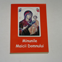 Minunile Maicii Domnului