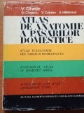 Atlas de anatomie a pasarilor domestice V. Ghetie