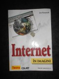 Joe Kraynak - Internet in imagini