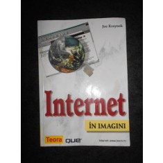 Joe Kraynak - Internet in imagini