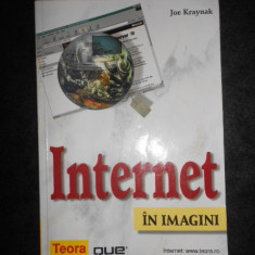 Joe Kraynak - Internet in imagini