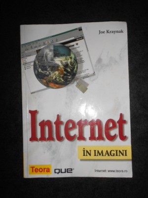 Joe Kraynak - Internet in imagini foto