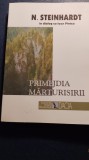 N steinhardt primejdia marturisirii