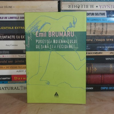 EMIL BRUMARU - POVESTEA BOIERNASULUI DE TARA SI A FECIOAREI...,DESENE GORZO , 2008 * foto