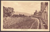 828 - Ardeal, TRAIN, Romania - old postcard - used