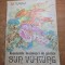carte pentru copii - aventurile maimutei d epiatra - sun von-kong - anul 1973