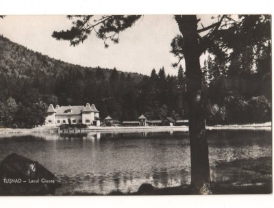CPIB 15814 CARTE POSTALA - TUSNAD. LACUL CIUCAS, RPR foto