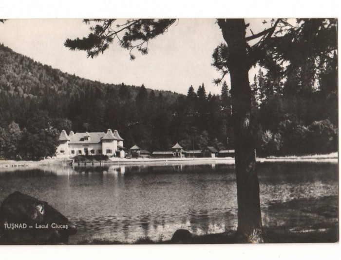 CPIB 15814 CARTE POSTALA - TUSNAD. LACUL CIUCAS, RPR