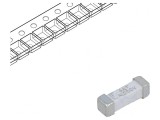 Siguranță &Icirc;nt&acirc;rziere 4A 250V SMD, Littelfuse