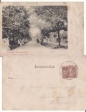 Covasna, Kovaszna-Parcul -animata, clasica