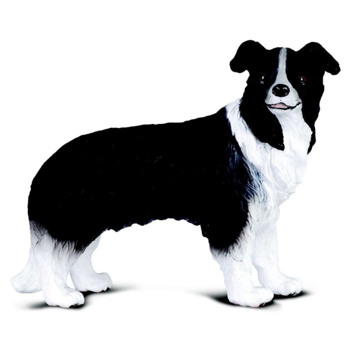 Figurina Border Collie