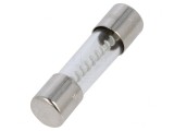Siguranță &icirc;nt&acirc;rziată 4A 250V cilindrică din sticlă, SCHURTER