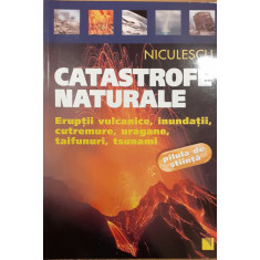 Catastrofe naturale