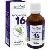 Polygemma 16 (Plamani) 50ml