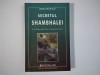 James Redfield - SECRETUL SHAMBALEI / In cautarea celei de-a unsprezece viziuni (2002 ), Mix