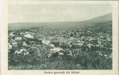 AMS# - ILUSTRATA VEDERE GENERALA DIN SALISTE, CIRCULATA, 1931 foto