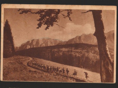 CPIB 15538 CARTE POSTALA - MUNTII BUCEGI, SPRE DIHAM, RPR, 1952 foto