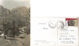 *Romania, Poiana Tapului, carte postala ilustrata, circulata intern, 1971, Printata