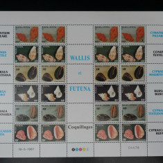 WALLIS ET FUTUNA 1987 FAUNA MARINA , SCOICI - COLITA MARE (24 ) NESTAMPILATA
