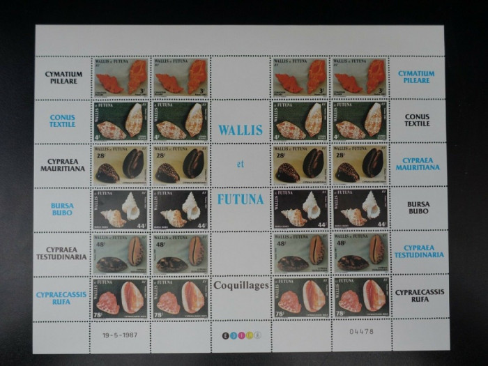 WALLIS ET FUTUNA 1987 FAUNA MARINA , SCOICI - COLITA MARE (24 ) NESTAMPILATA