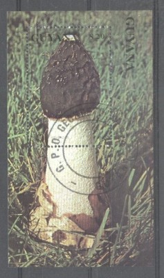 Guyana 1990 Mushrooms, perf. mini sheet, used T.128 foto