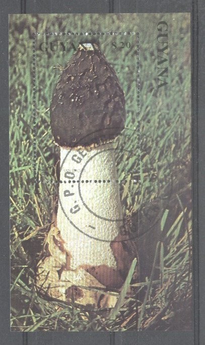 Guyana 1990 Mushrooms, perf. mini sheet, used T.128