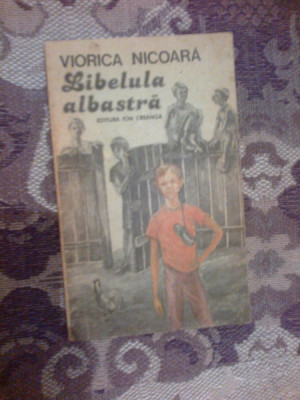 g0 Viorica Nicoara - Libelula Albastra ( foto