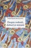 Despre vedenii, duhuri si minuni - Ignatie Briancianinov