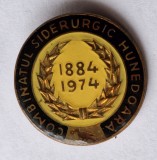 Combinatul Siderurgic Hunedoara (1884-1974), insigna RARA