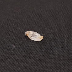 Fenacit nigerian cristal natural unicat f61