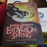 Endymion Spring. Trecutul este o fiara periculoasa - Matthew Skelton