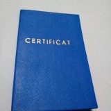 Cumpara ieftin CERTIFICAT /SCOALA INTERJUDETEANA DE PARTID PCR 1982