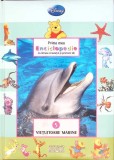 Prima Mea Enciclopedie Vol. 5 Vietuitoarele Marine - Julia Kretsch, Egmont, 2009, Carte Copii, Ilustratii Marine