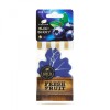 Odorizant auto Paloma Gold Fresh Fruit - Blueberry Best CarHome