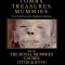 Tomb. Treasures. Mummies. Book One: The Royal Mummies Caches