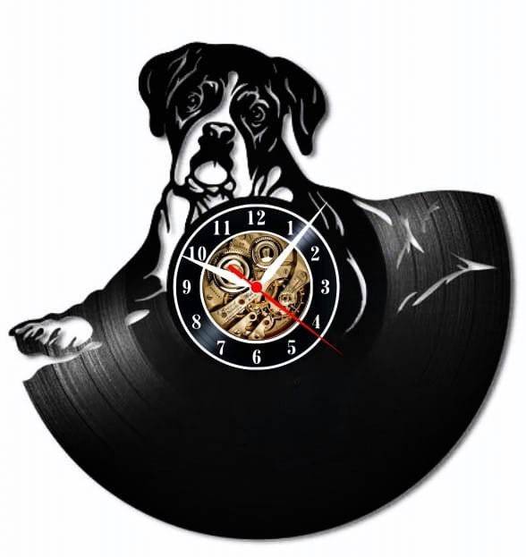 BOXER-ceas de perete