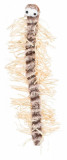 Cumpara ieftin Jucarie Plush Centiped cu Sunet, 33 cm, 45596, Trixie