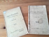 PR. VASILE GAN, 2VOLUME: USILE POCAINTEI(15 PREDICI DIN PERIOADA TRIODULUI) SI SPRE NOUL IERUSALIM( CUV&Acirc;NTĂRI DIN PERIOADA PENTECOSTARULUI) 1925/&#039;27