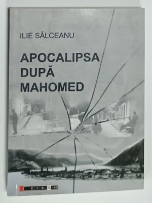 APOCALIPSA DUPA MAHOMED de ILIE SALCEANU , 2014 foto