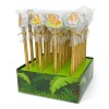 Creion grafic Capibara cu radiera, 4 modele (24 buc/display)