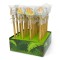 Creion grafic Capibara cu radiera, 4 modele (24 buc/display)