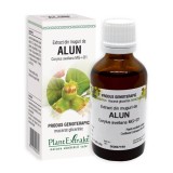 Cumpara ieftin Extract din muguri de Alun, 50 ml, Plant Extrakt
